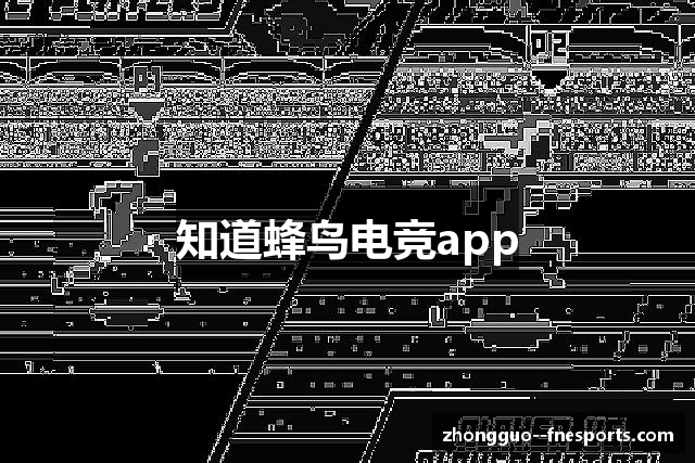 知道蜂鸟电竞app